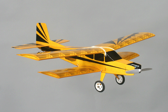 GADGET Laser Cut Biplane Kit.