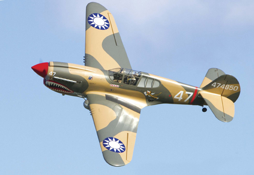 Model Airplane News - RC Airplane News | Top 10 Warbirds of the Year — RC Heavy Metal Reviews
