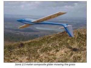 Model Airplane News - RC Airplane News | Slope Aerobatics: Gliders take center stage!