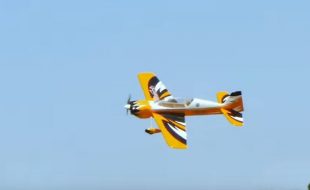RC Model Airplanes Tower Hobbies Sbach 3D ARF VIDEO