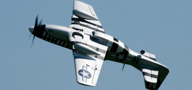 New For Premium Members — E-Flite P-51D Mustang 1.2m Review Videos