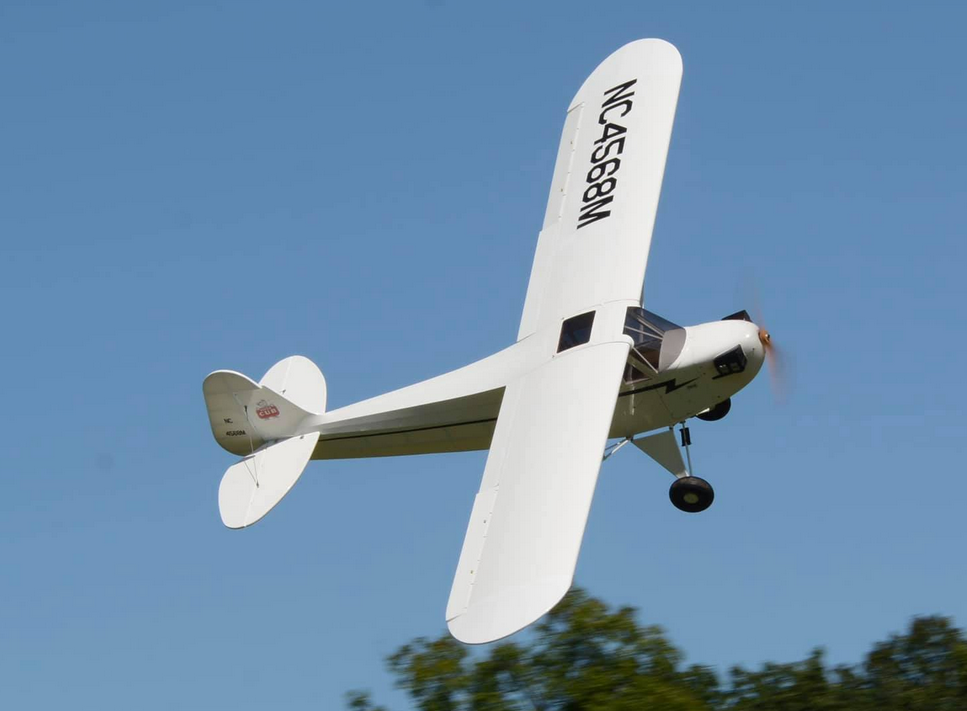 Model Airplane News - RC Airplane News | And the Winners are…